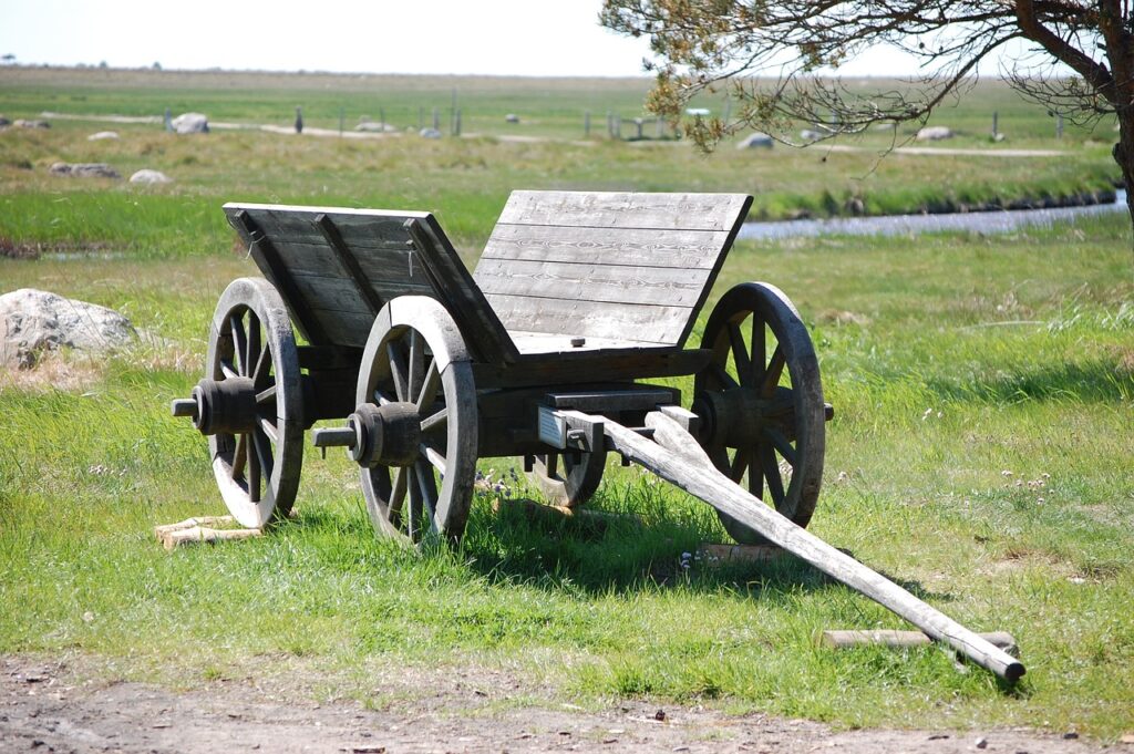 læsø, straw, wagon